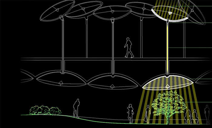 Comment fonctionne la lowline