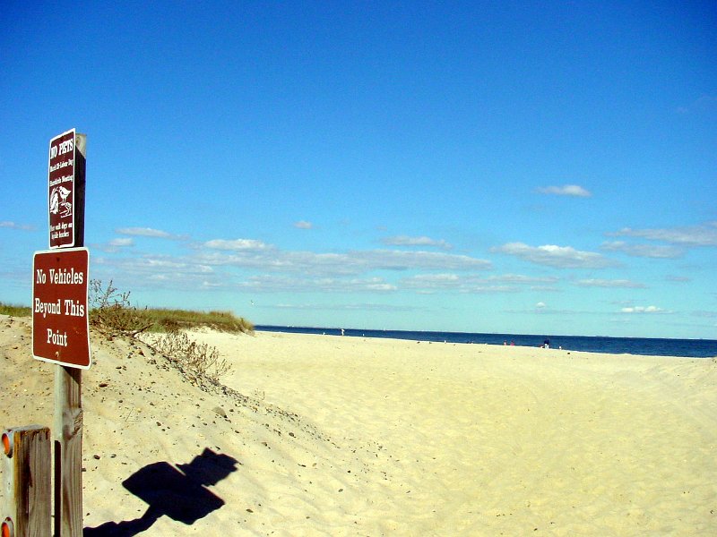 Aller à la plage à New York sur le blog New York Off Road : Sandy Hook