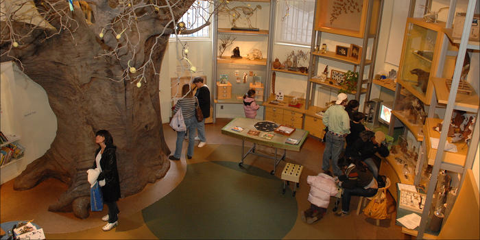 Les musées de New York à visiter avec les enfants