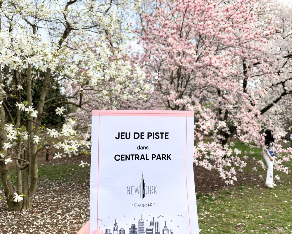 Jeu de piste Central Park - Cherry Blossom